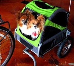 DoggyRide Mini Dog Bike Trailer