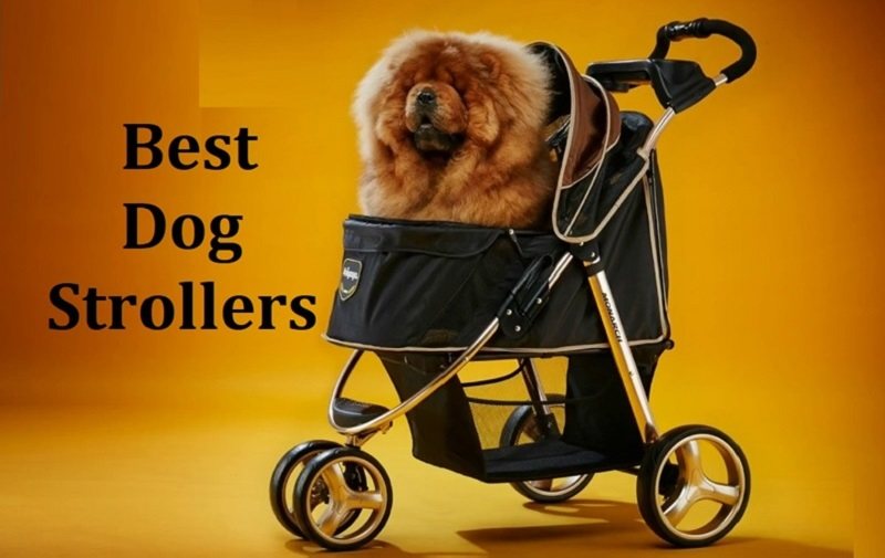 best dog strollers