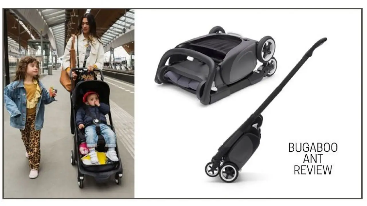 bugaboo cabin size stroller