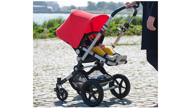 bugaboo cameleon review