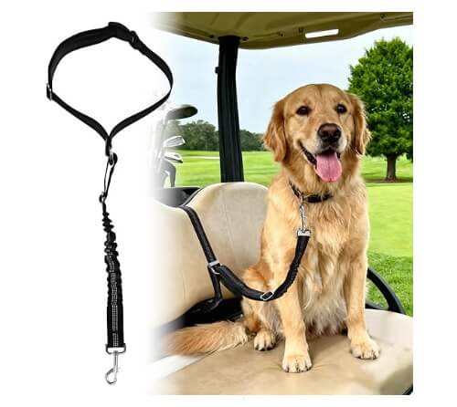 dog seat belt leash harness
