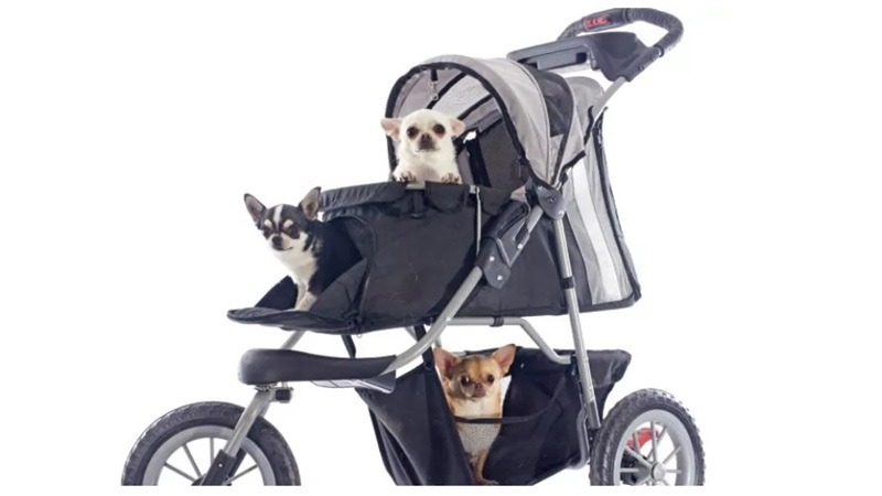 triple dog stroller