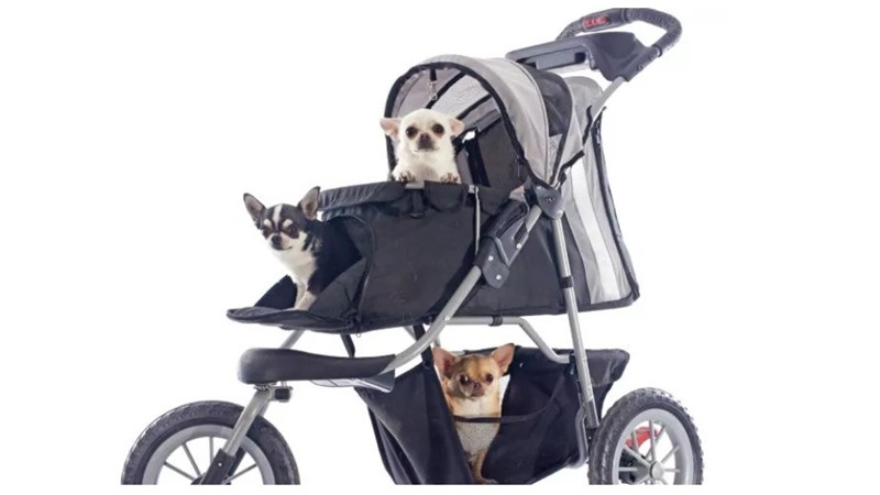 dogs in stroller