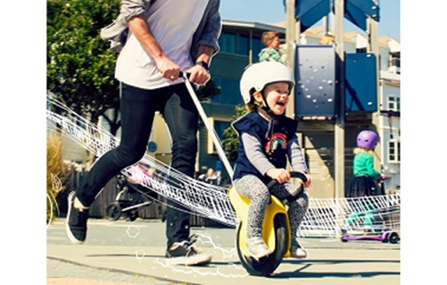 one wheel stroller