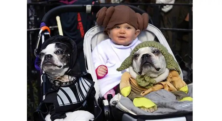 baby and dog share the same stroller