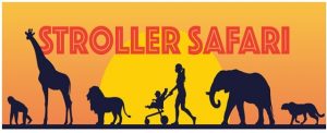 stroller safari featured